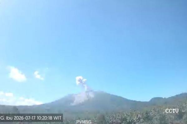 Gunung Ibu di Maluku Utara Erupsi, Kolom Abu Capai Setinggi 500 Meter