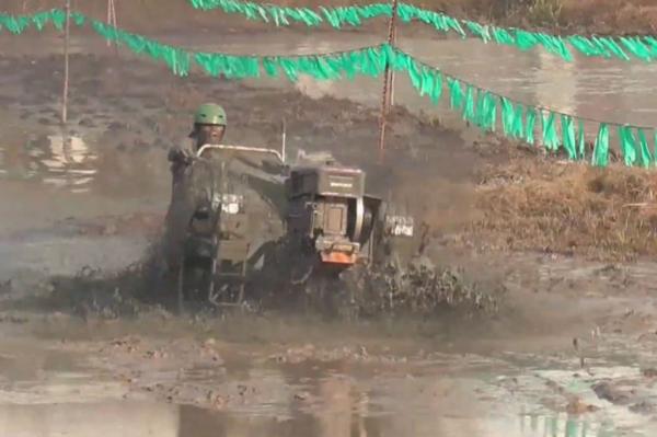 Unik dan Seru! Petani di Labuhanbatu Utara Adu Balap Traktor di Sawah