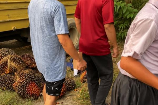 Kecelakaan Truk Sawit Terguling Timpa 10 Siswi SMP di Labuhanbatu, 1 Orang Tewas