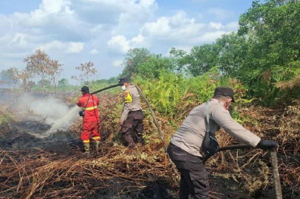 Karhutla Bengkalis Meluas Capai 80 Hektare, Water Bombing Dikerahkan Padamkan Api