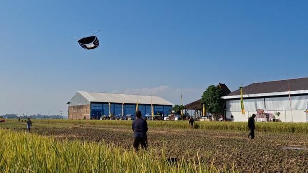 Unik! Drag Layang-Layang di Tulungagung, Adu Cepat Turunkan Layangan