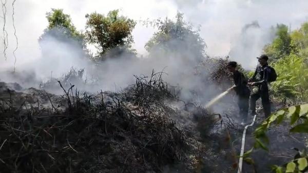 48 Hektare Lahan di Pulang Pisau Terbakar, 8 Orang Ditetapkan Tersangka