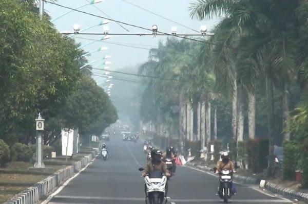 Kabut Asap Mulai Palangka Raya, 109 Karhutla Hanguskan 54,44 Hektare Lahan