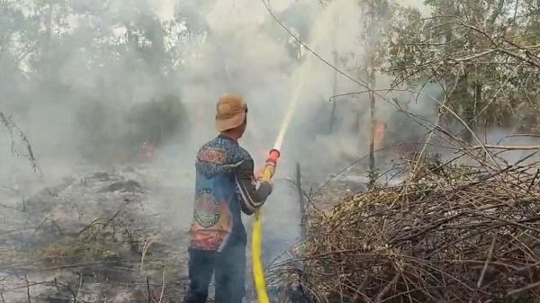 Karhutla Meluas di Palangka Raya, 6 Hektare Lahan Gambut Terbakar