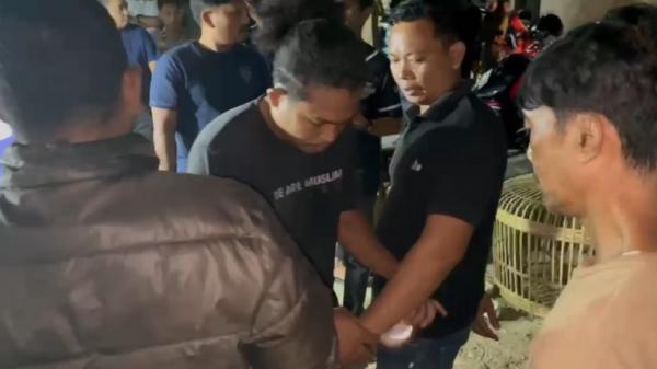 Polisi Gerebek Arena Sabung Ayam di Kendari, 17 Orang Ditangkap Puluhan Motor Disita