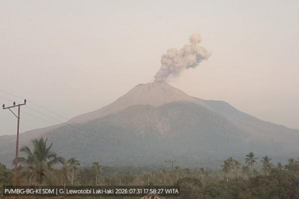 Gunung Lewotobi Laki-laki Erupsi Sore Ini, Abu Tebal Menjulang 700 Meter