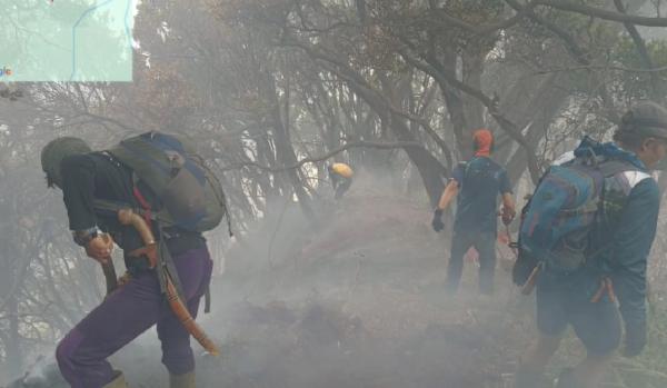 Karhutla Gunung Gede Pangrango Hanguskan 5 Hektare Lahan, Pendakian Ditutup!