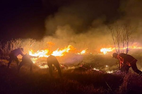 Karhutla Gunung Bromo Hanguskan 520 Hektare Lahan, Diduga Dipicu Perapian Warga