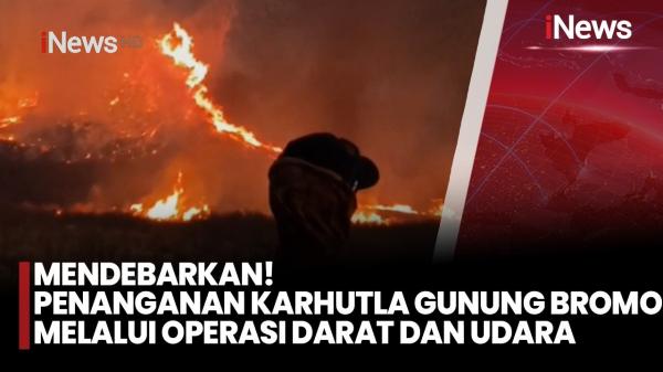 Kebakaran Gunung Bromo Meluas, Operasi Darat dan Udara Diterjunkan
