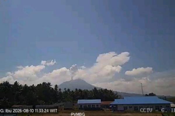 Gunung Ibu Erupsi, Kolom Abu Membubung Setinggi 800 Meter dari Puncak