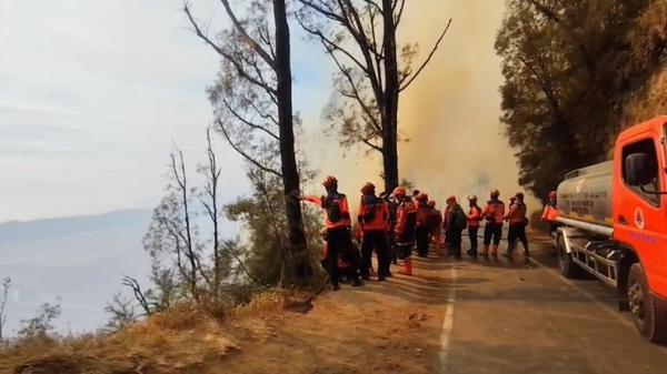 Hari ke-9 Karhutla Bromo, Satgas Targetkan Pekan Ini Padam