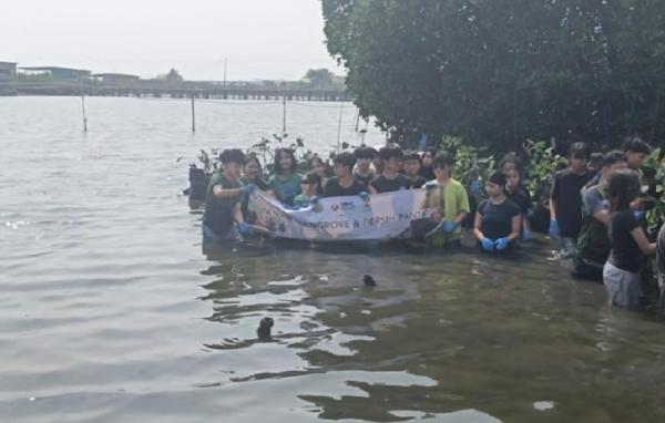 Rumah Mangrove Marunda Ingatkan Pentingnya Penanaman Bakau untuk Cegah Abrasi