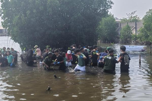 Ratusan Pelajar Antusias Ikut Tanam Mangrove dan Bersih Pantai di Marunda Jakut