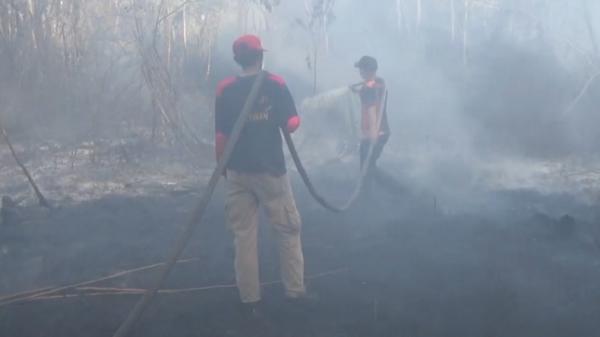 Kebakaran Hutan dan Lahan di Kotawaringin Timur Meluas hingga 1.207 Hektare