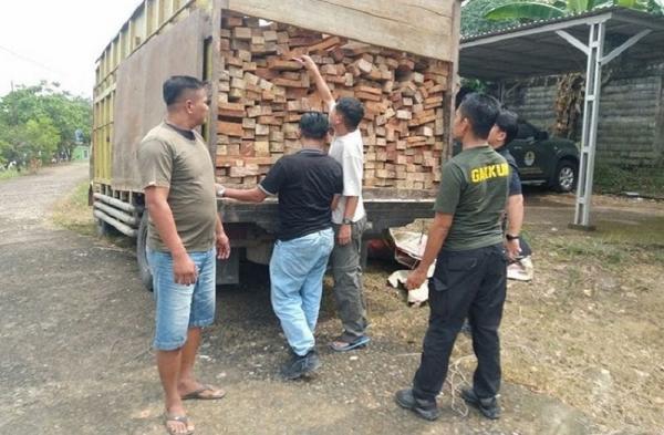 Kemenhut Tangkap Pelaku Pembalakan Liar di TNBT Jambi, Sudah Belasan Kali Angkut Kayu