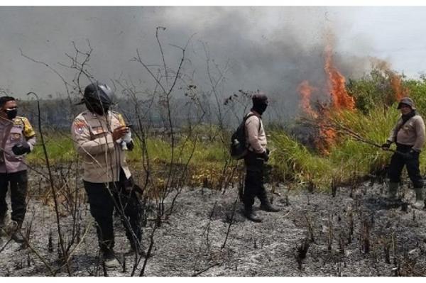 Taman Nasional Way Kambas Kembali Terbakar, Titik Api Baru Muncul di Lahan Gambut