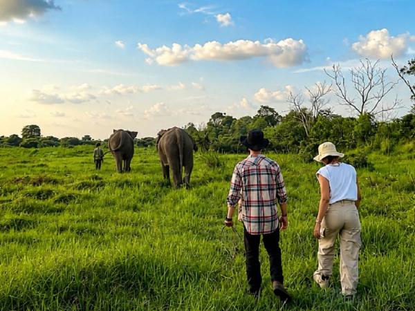 Indahnya Way Kambas Indahnya Way Kambas sebelum terbakar. (Foto: Instagram)