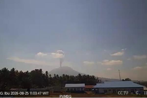 Gunung Ibu Erupsi, Muntahkan Kolom Abu Vulkanis Setinggi 1 Km