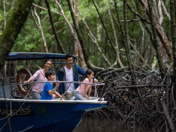 Menjelajahi hutan mangrove Wisata lokal seperti menjelajahi hutan mangrove semakin diminati. (Foto: Istimewa)