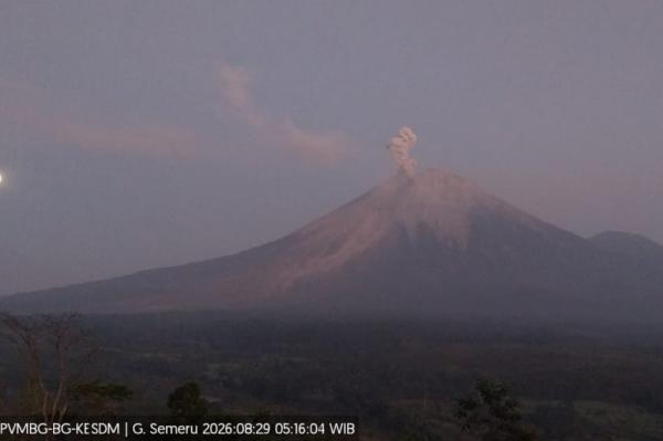 Gunung Semeru Meletus Pagi Ini, Muntahan Abu Vulkanis Setinggi 900 Meter