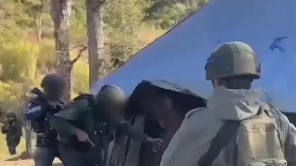 3 Tahun Kabur, DPO Kasus Penembakan di Puncak Ditangkap Saat Bersembunyi di Honai