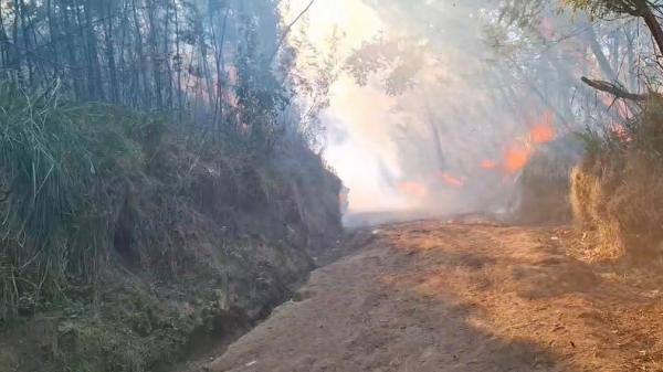 Karhutla Melanda Kawah Ijen, Api Merambat hingga Dekati Jalur Pendakian