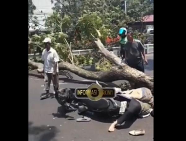 Tragis! Pasutri Tewas Tertimpa Pohon Tumbang di Jalan Pandanaran Semarang