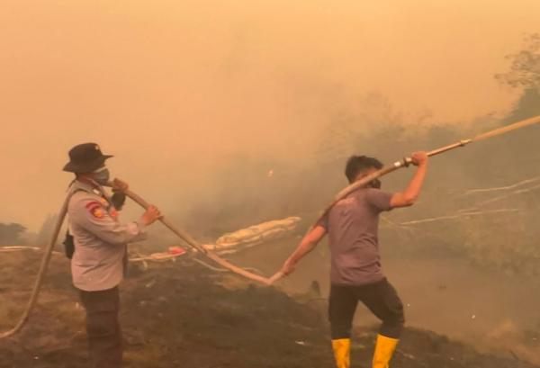 Cegah Api Meluas, Polda Sumsel Gencarkan Penanganan Karhutla di Teluk Limau