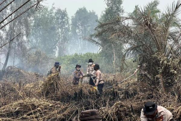 Karhutla Riau Makin Serius, 45 Kasus Diproses Hukum dan 49 Orang Jadi Tersangka