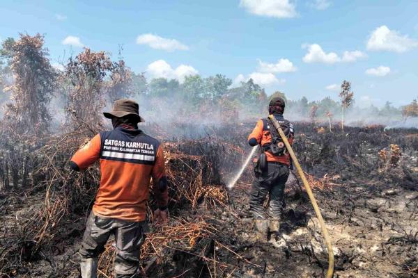 BNPB: Asap Karhutla Sumatera-Kalimantan Berpotensi Capai Singapura, Malaysia hingga Brunei