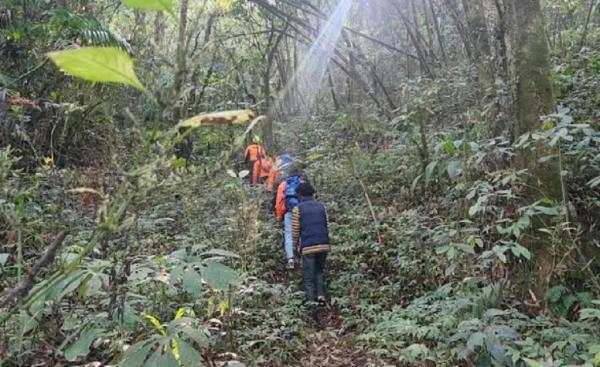 Nekat Daki Gunung Semeru saat Karhutla, 7 Pendaki Ilegal Terancam 5 Tahun Bui