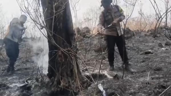 Titik Api Kembali Muncul, Hari Keempat Kebakaran Lereng Gunung Ciremai Capai 46 Hektare