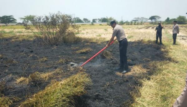 Kebakaran Lahan di Pinggir Tol Pejagan-Pemalang, Pengendara Diimbau Waspada