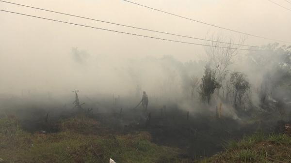 BNPB Siapkan Operasi Modifikasi Cuaca untuk Kurangi Kabut Asap di Kalteng