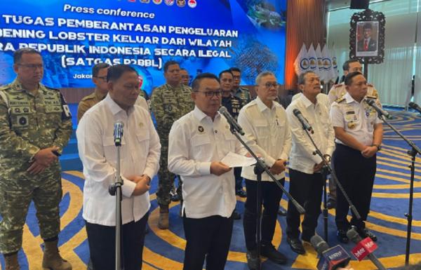 Menko Dudung Perintahkan Satgas Buru Dalang Penyelundupan Benih Lobster dan Telusuri Aliran Dana