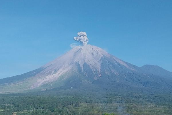 Gunung Semeru Erupsi 11 Kali Hari Ini, Kolom Abu Vulkanik Tertinggi 900 Meter