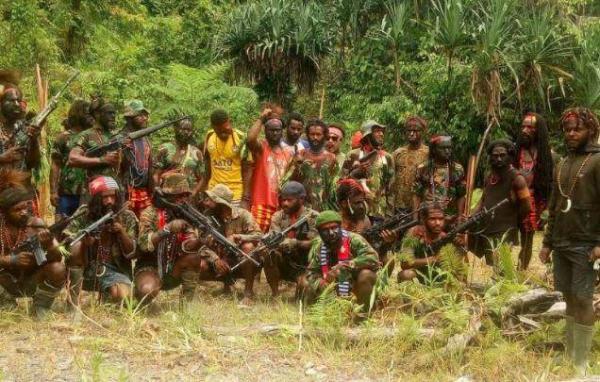 Baku Tembak Dini Hari di Hutan Papua, Empat Anggota KKB Tewas Didor Pasukan TNI di Intan Jaya