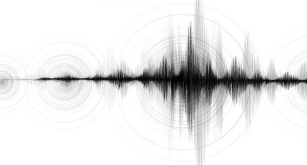 Gempa Bumi Magnitudo 5,0 Guncang Seluma Bengkulu