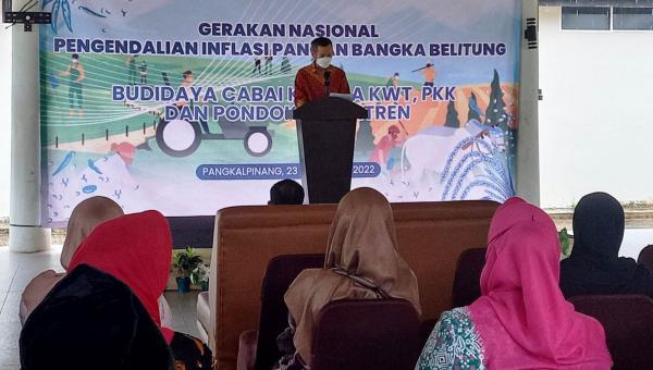 Tekan Inflasi Daerah, BI Babel Dorong Masyarakat Menanam Cabai