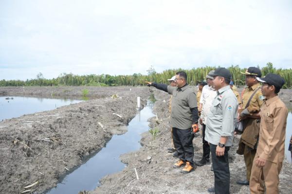 Lolos Inspeksi CPIB Skor 92, BBIP Poniang Siap Pasok Benih Udang Vaname Unggul