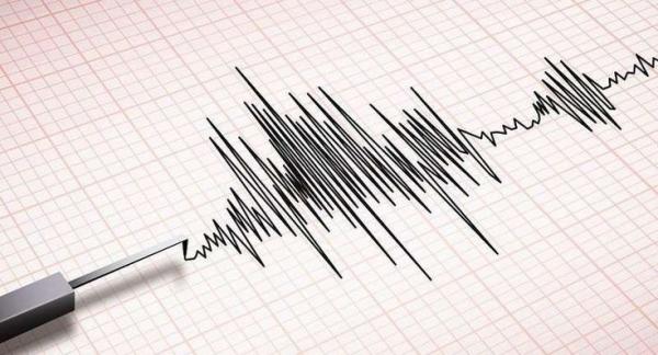 Gempa Magnitudo 7,1 Guncang Sulawesi Utara, Tidak Berpotensi Tsunami