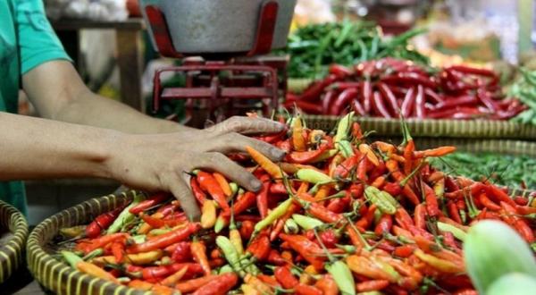 Harga Cabai Rawit Rp93 Ribu per Kg, Kementan Beberkan Penyebabnya