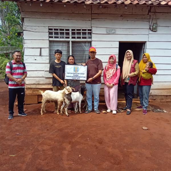 Dinsos Berikan Bantuan Hewan Ternak, Camat Negeri Agung Ucapkan Terima Kasih kepada Bupati Way Kanan