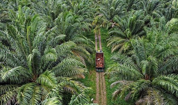 header img