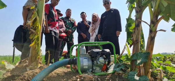 Ancaman Kekeringan di Indramayu, BBWS Citarum Pantau Kebutuhan Air Petani