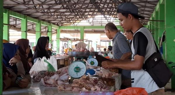 Harga Ayam di Babel Tembus Rp49 Ribu