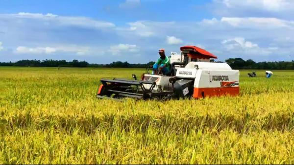 87 Persen Lahan Sawah Dilindungi di Bojonegoro Ditetapkan sebagai Lahan Pertanian Pangan