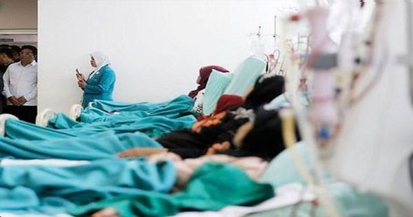 Keracunan MBG di Bogor Disebabkan Bakteri di Telur Ceplok