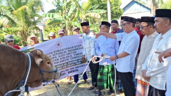 Presiden Prabowo Berkurban Sapi Bobot 925 Kg di Kolaka Timur