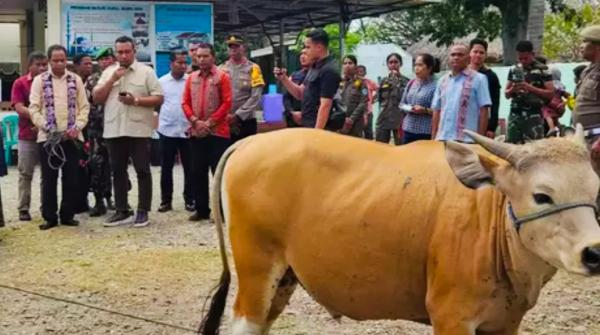 Bupati TTU Copot Dua Kadis saat Idul Adha, Soroti Maladministrasi dan Target PAD
